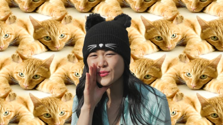 I followed a professional cat whisperer for a day—it's even more ridiculous than it sounds