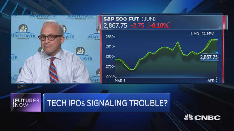 IPO wave creating 'ominous sign' for tech market: $3.5 billion money manager