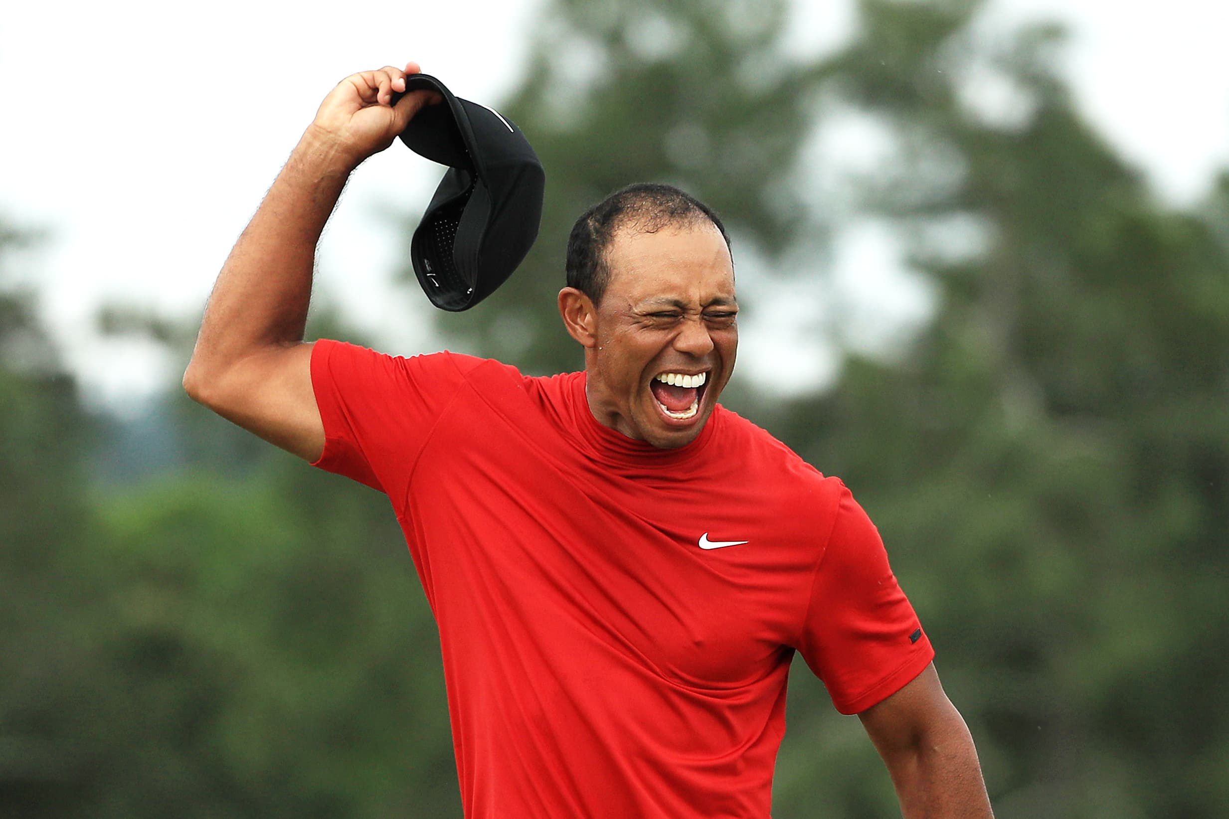 Де тайгер. Nike Tiger Woods. Tiger Woods aiming.