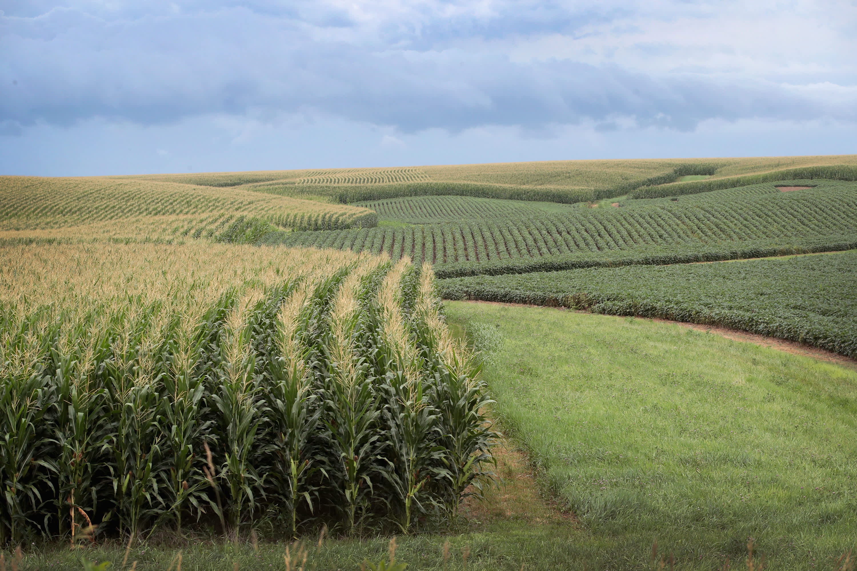 Farmland prices stable despite facing pressure and potential risks, says KC Fed survey