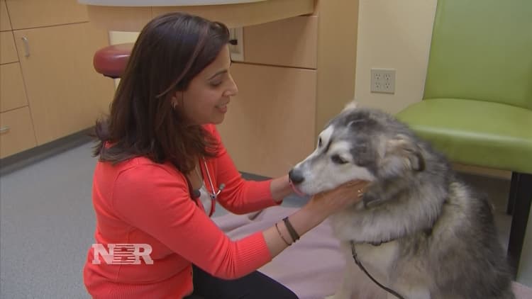One Health offers a new approach to canine cancer care