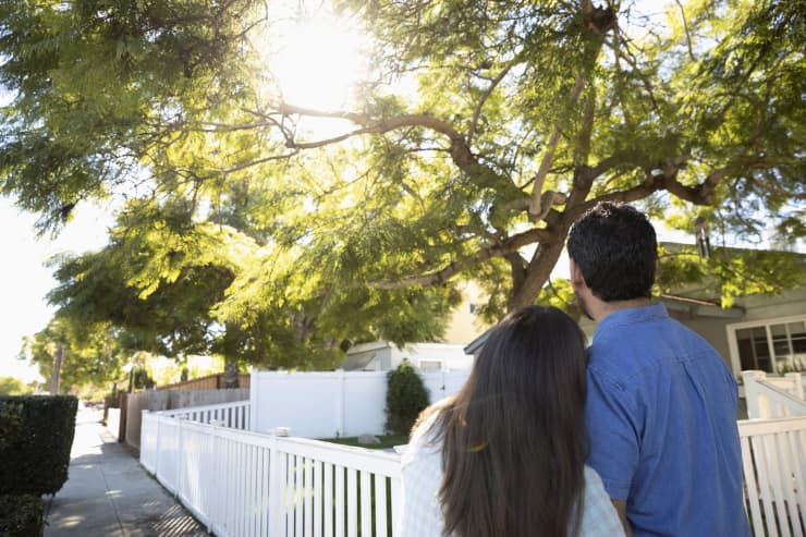 GP: Millennial home buyers couple looking up at sunny tree in front yard