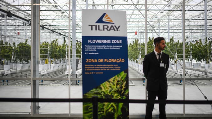 Tilray (TLRY) earnings Q4 2019