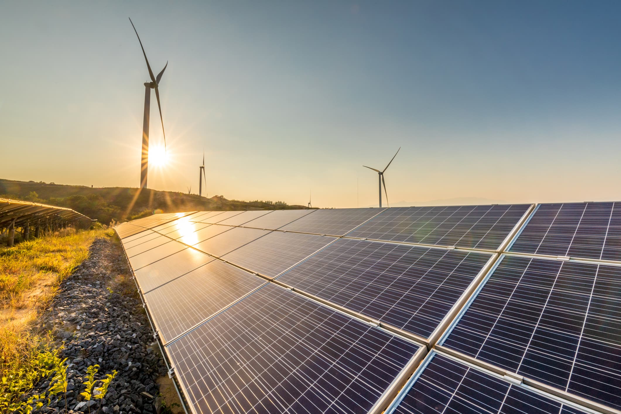 Renewable energy 101: Key terms you need to know
