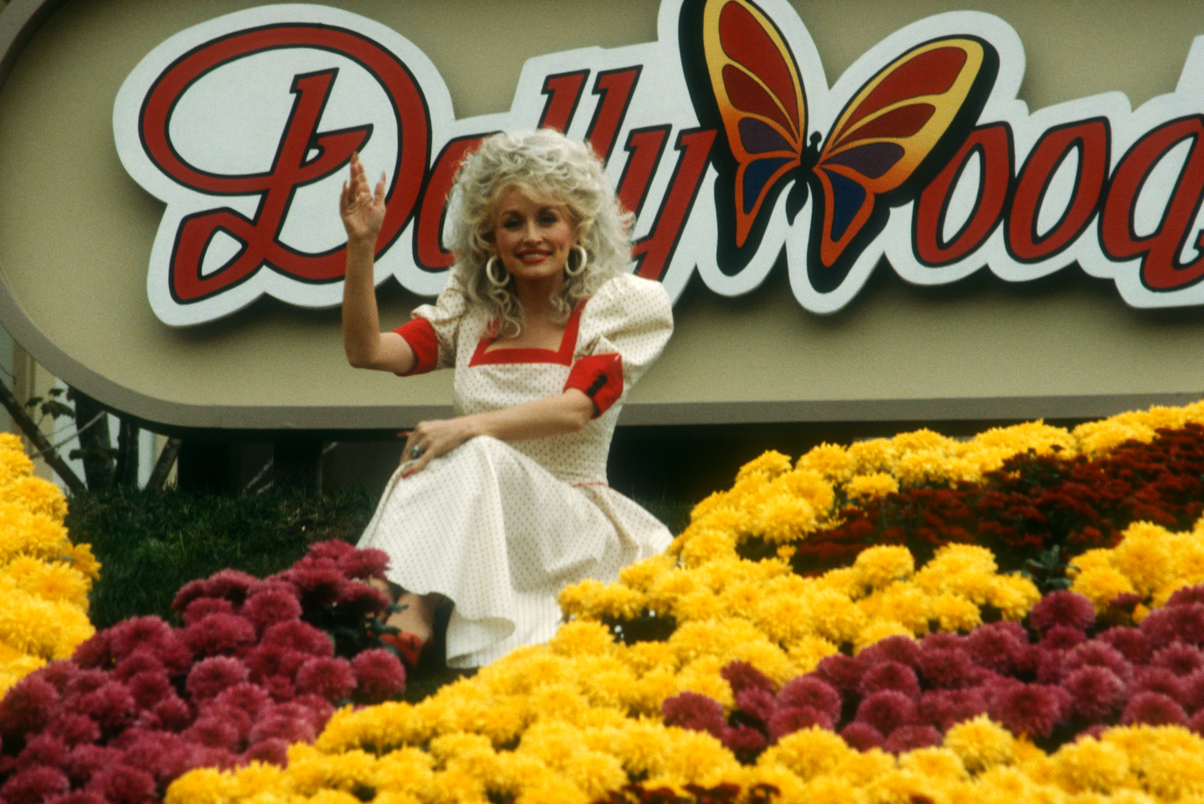 Photos: Dolly Parton's Dollywood theme park opened new Wildwood Grove3995 x 2669