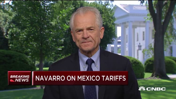 White House's Peter Navarro: Investors should look at tariff threat calmly