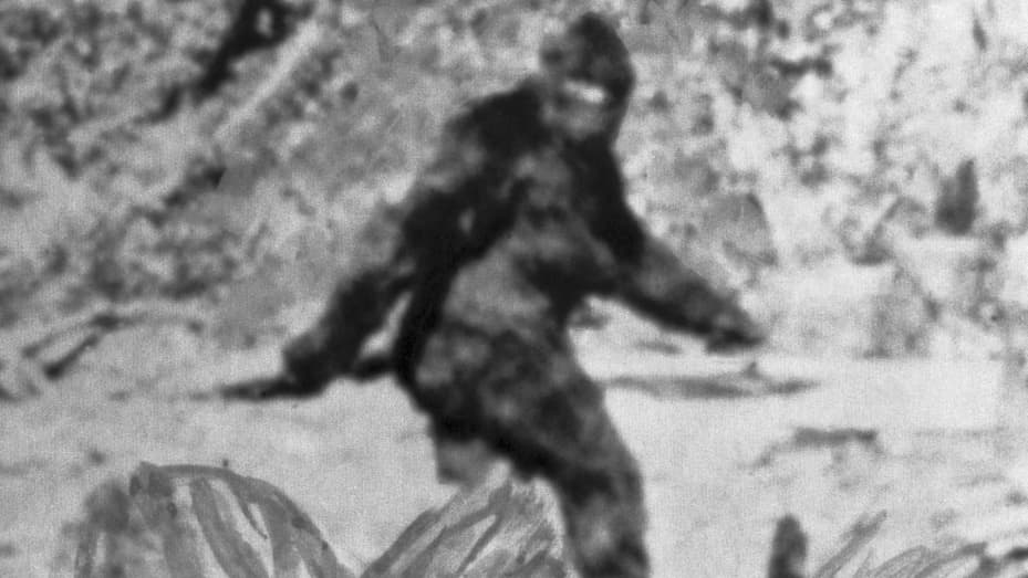 Creature resembling Bigfoot caught on camera walking across
