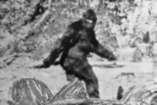 https://www.cnbc.com/2019/06/05/fbi-tested-bigfoot-hair-in-1970s-government-documents-show.html