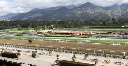Calls for racing crackdown intensify after 27th horse dies at California track