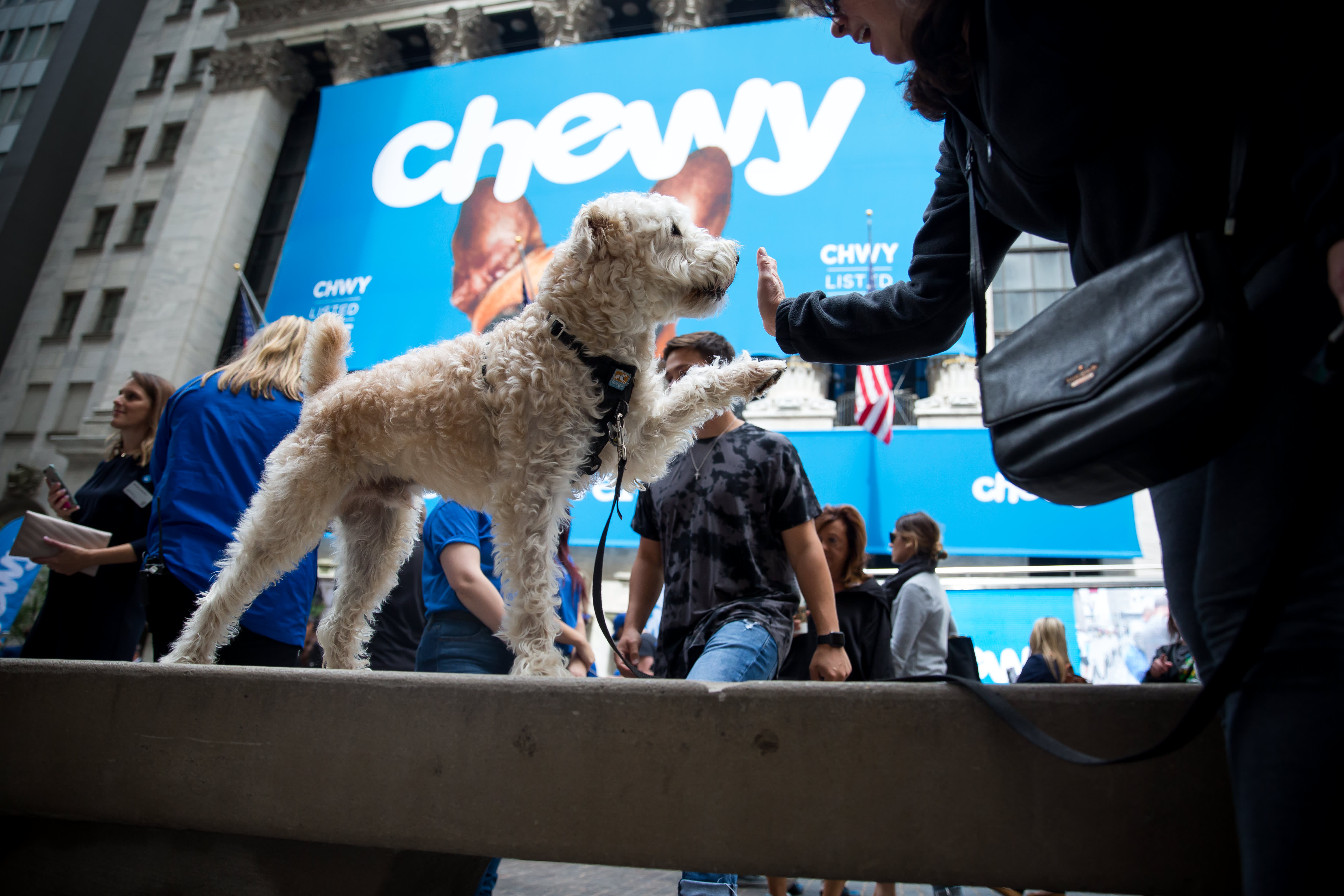 Chewy Petsmart S Online Business Soars 86 At Ipo