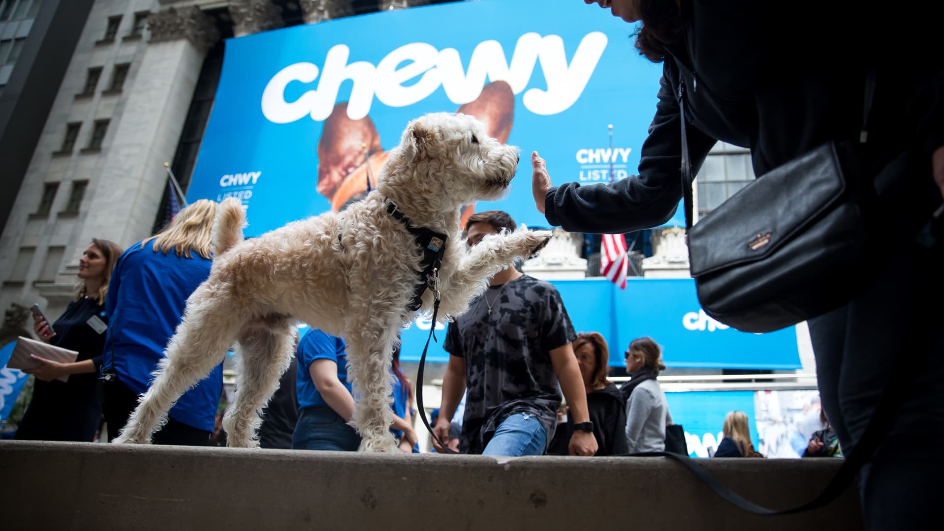 A dog hi-fives it's owner in front of the New York Stock Exchange (NYSE) during Chewy Inc.'s initial public offering (IPO) in New York, U.S., on Friday, June 14, 2019.
