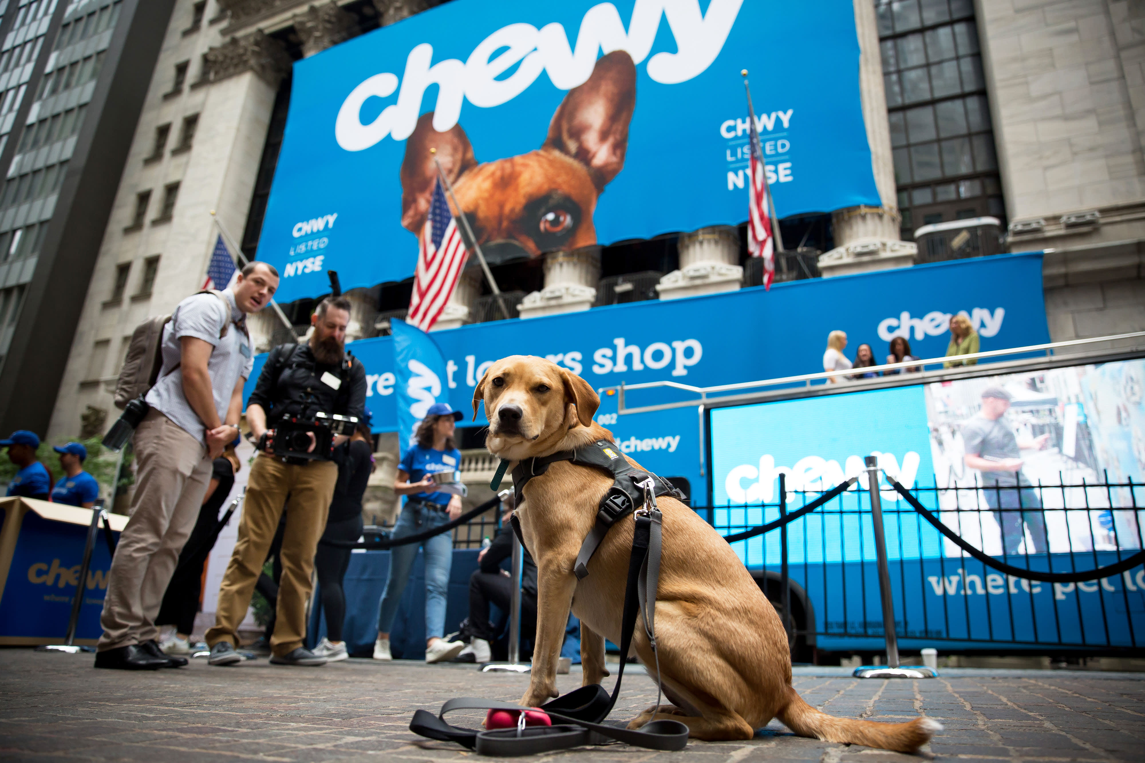 Opinion: Chewy is no Pets.com