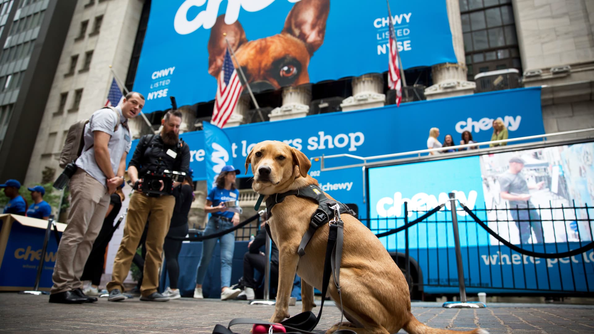 Needham upgrades Chewy, says shares can rally more than 40% because the pet space is defensive