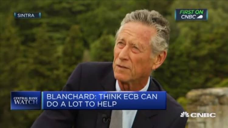 ECB can't fight a recession on its own, says former IMF economist
