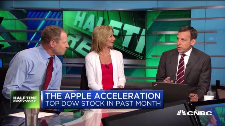 Apple is a cash cow that should be a core holding in everyone's portfolio, says Richard Saperstein