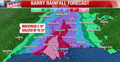 Tropical Storm Barry's wind and rain hit Louisiana coast