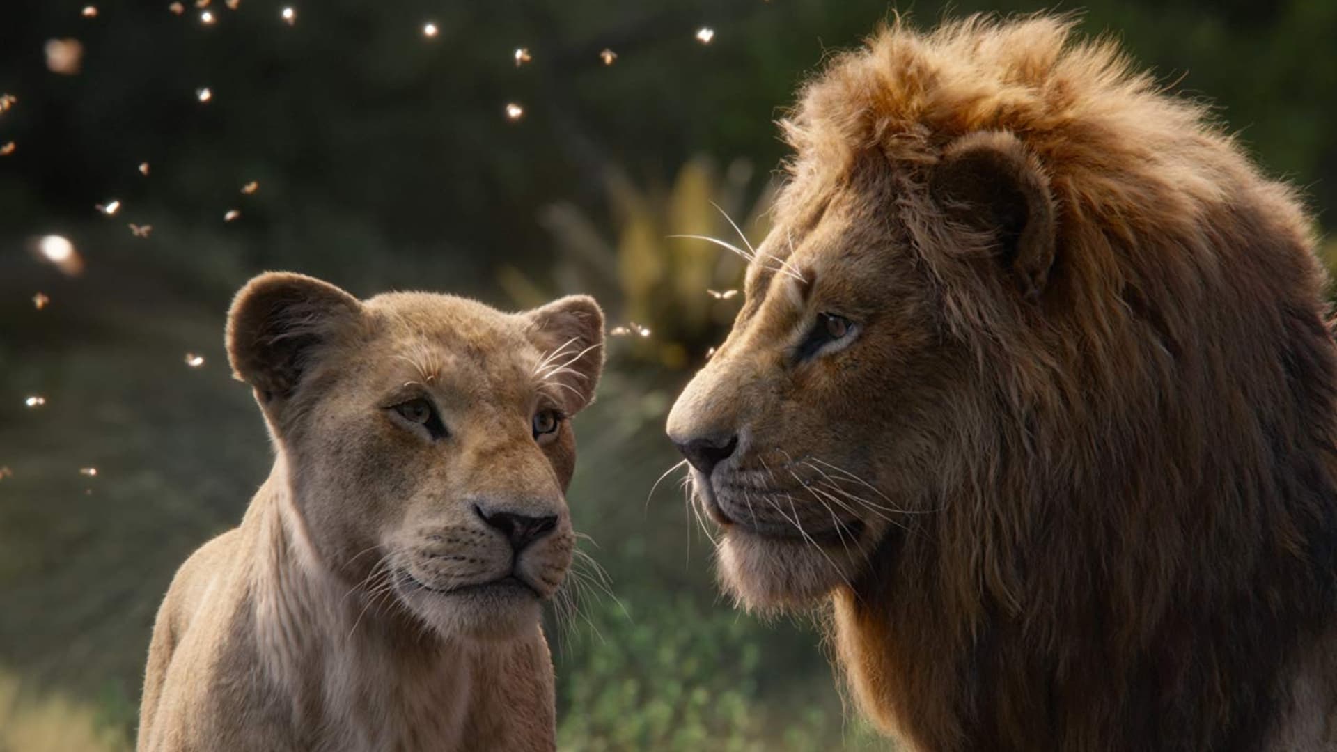 Disney calls 'Lion King' live-action, Golden Globes says its animated