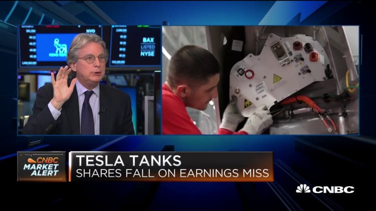Tesla's poor earnings are not the end of the world, says Roger McNamee