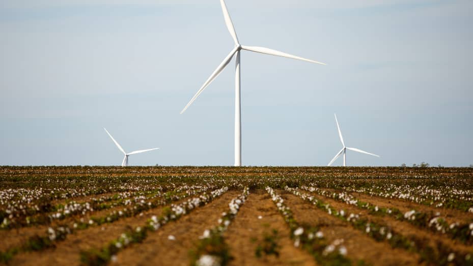 This image shows an Amazon wind farm in Texas.