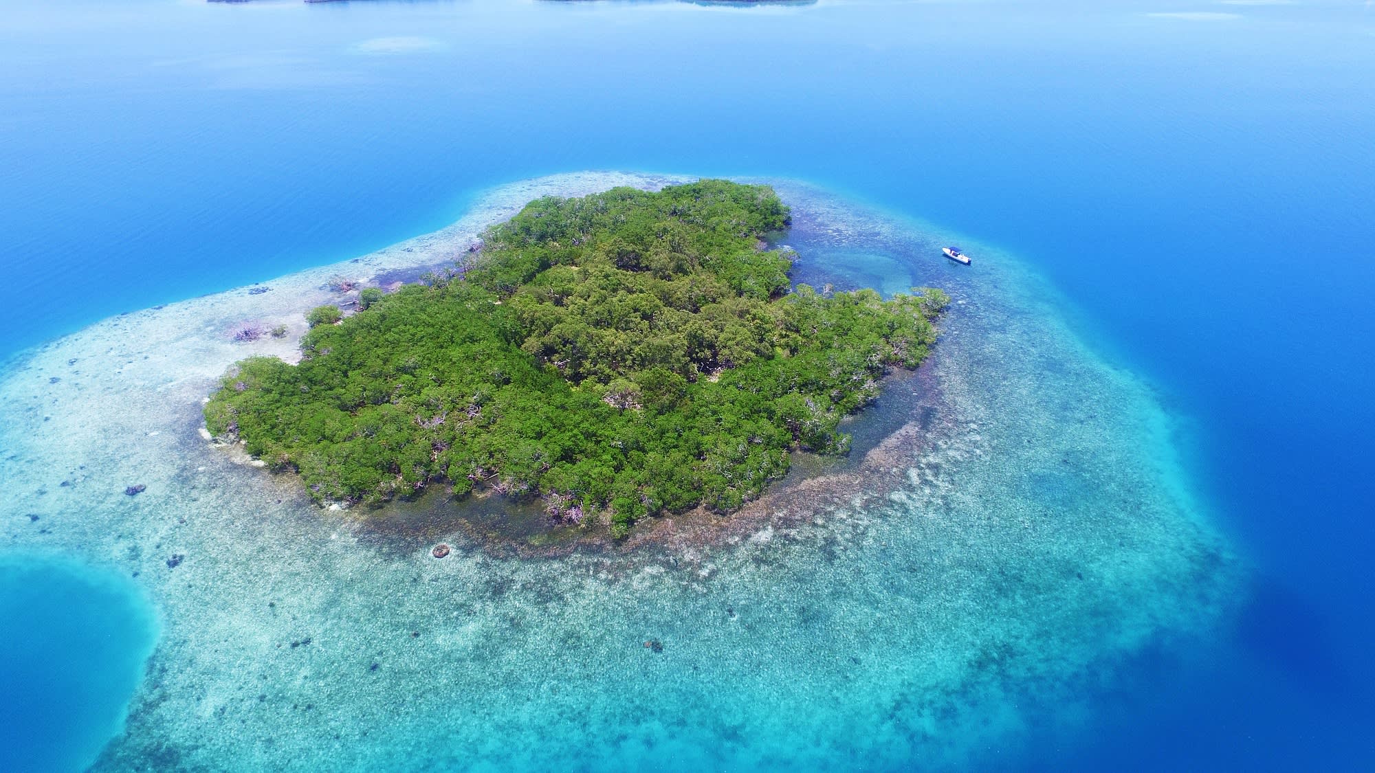 can you buy a private island