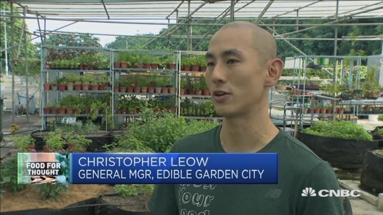 How urban farming in Singapore is evolving