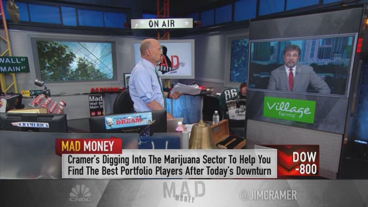 CEO reveals why Village Farms has an investor edge in the weed market