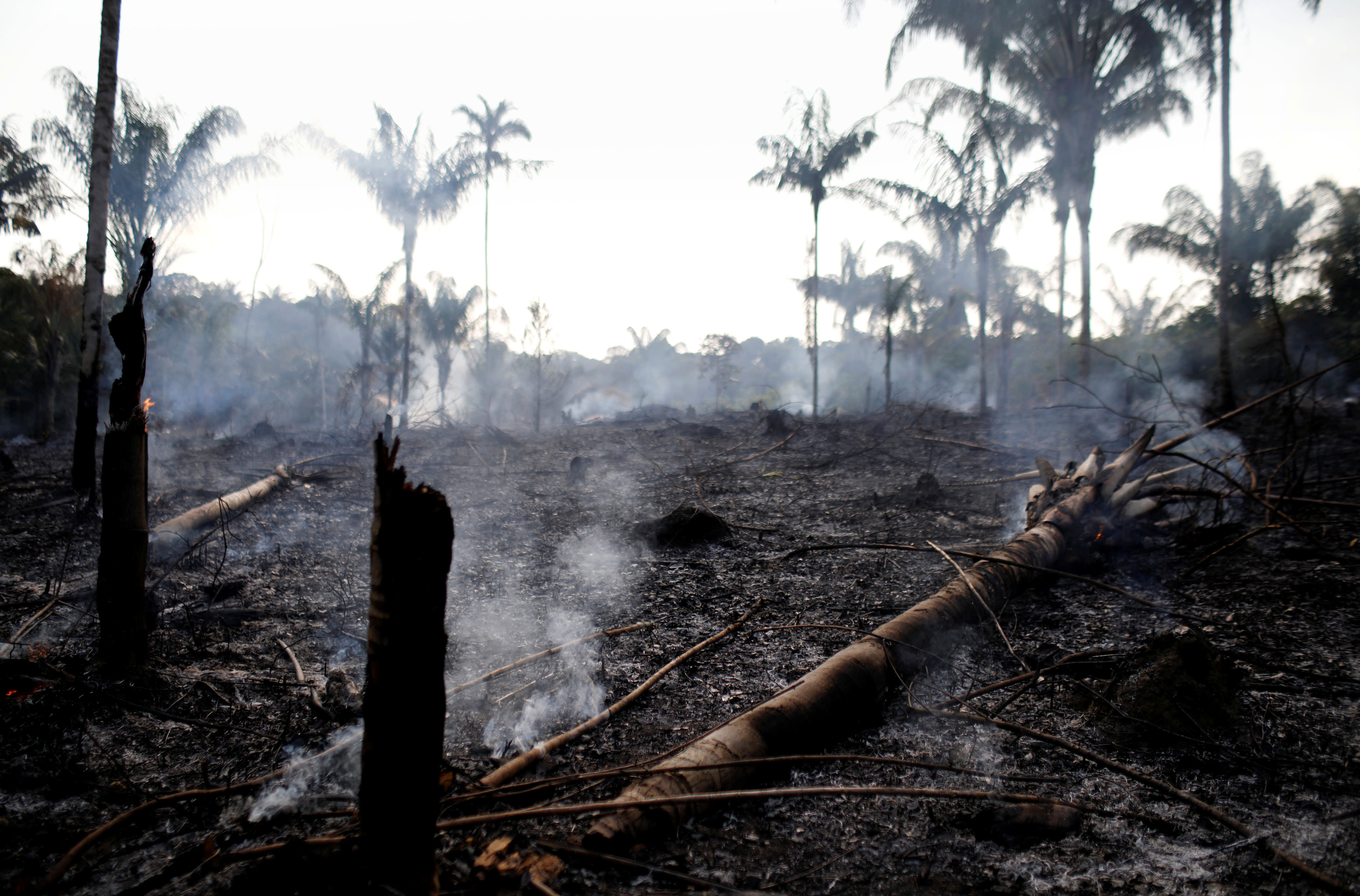 Brazil sends army to fight Amazon fires as EU threatens trade retaliation over blaze