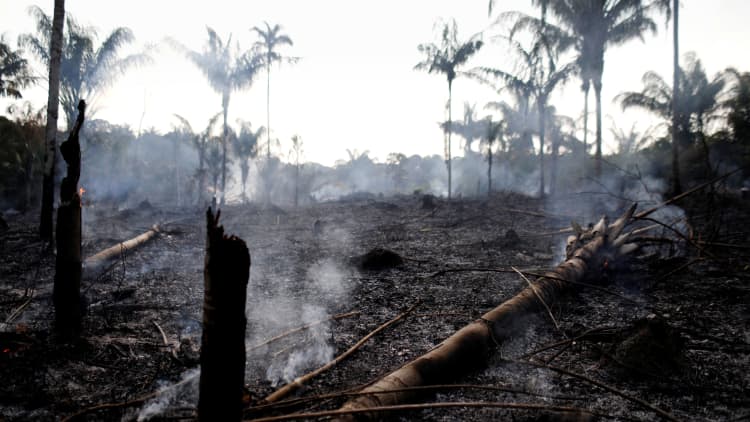 New video shows Brazil's charred Amazon rainforest as emergency efforts ramp up