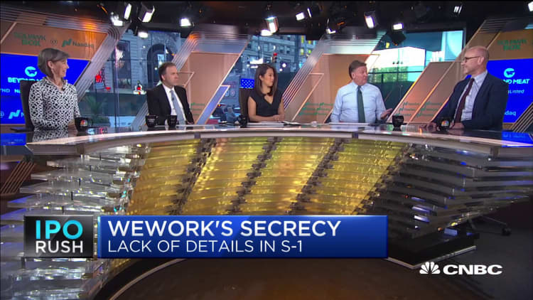 WeWork is the second-most money-losing IPO this year, says IPO expert