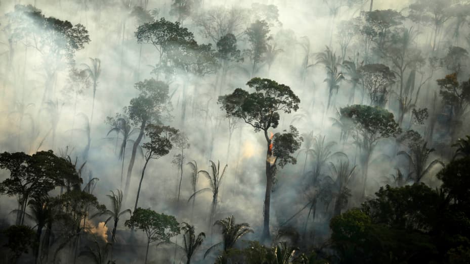 Smoke billows during a fire in an area of the Amazon rainforest near Porto Velho, Rondonia State, Brazil, September 10, 2019.