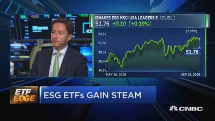 ESG takes hold among ETF investors—here's what you need to know before you buy in