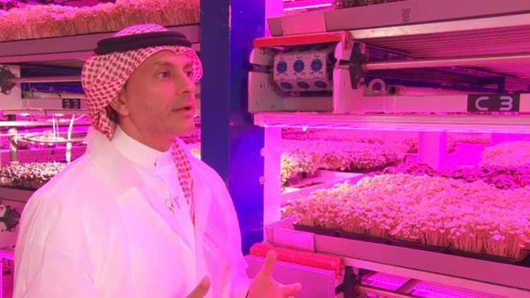 CNBC goes inside the futuristic indoor farm that could revolutionize agriculture in the UAE