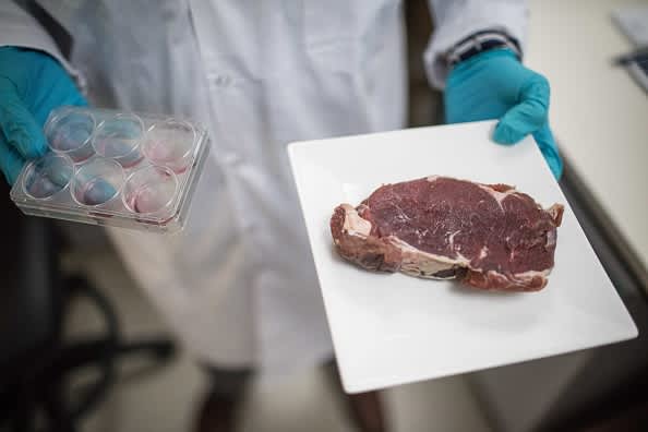 Is phony meat higher for us or the climate?