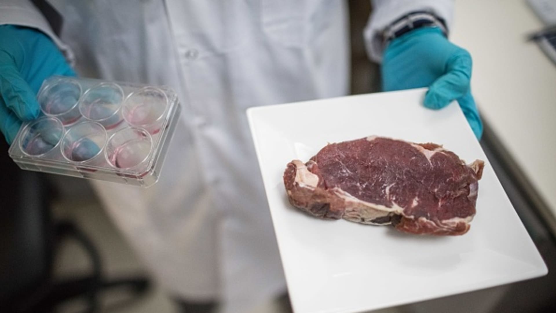 Investors are betting on meat grown in a laboratory as interest in plant-based foods declines