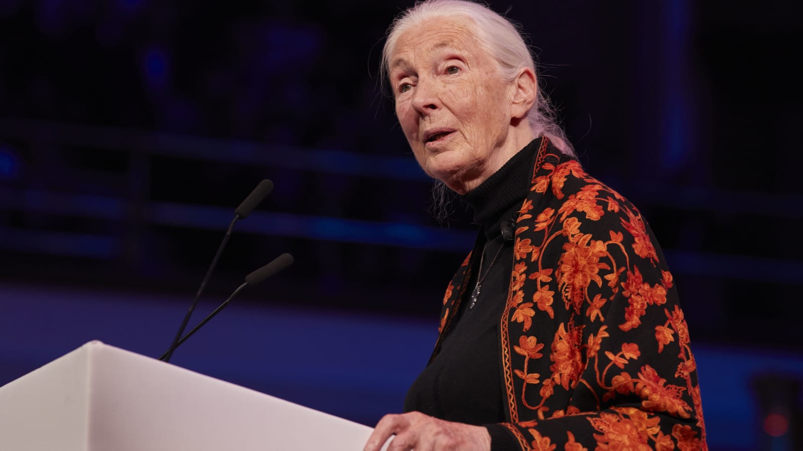 Jane Goodall Speaking Schedule 2022 Jane Goodall Tells How She Overcame Being Called 'Just A Girl'
