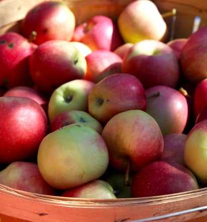 Michigan apples recalled for potential listeria contamination