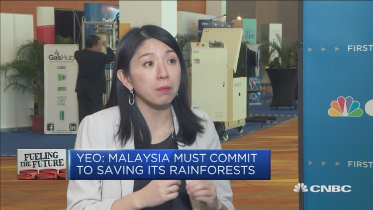Malaysian minister on reducing the country's carbon footprint