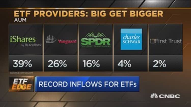 As ETF inflows hit records, expert says adoption still in 'early days'