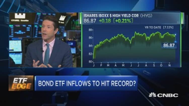 It's been a banner year for bond ETFs. Here's what could lie ahead