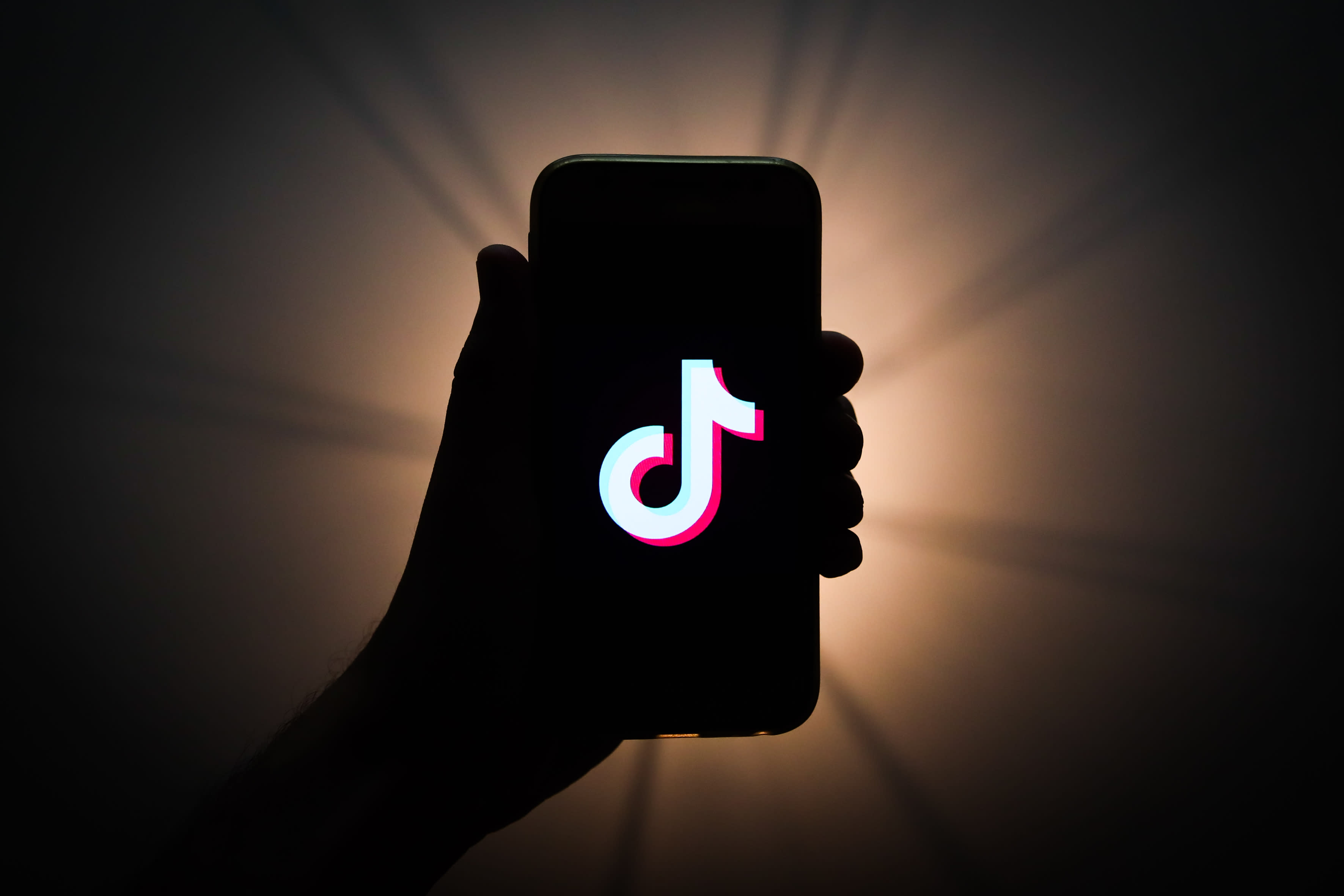 Tiktok Security Flaw Found That Allowed Hackers To Access Accounts - cool roblox names for tik tok