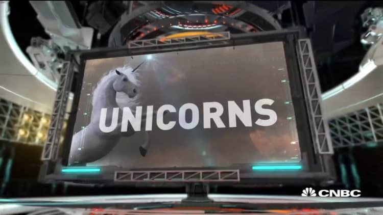 2020 Playbook: Unicorns