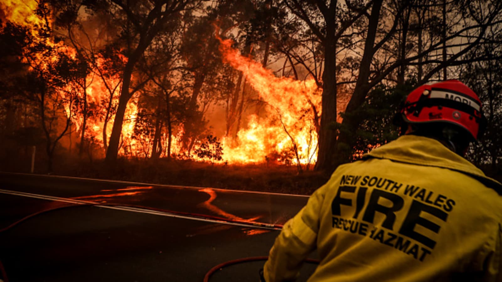 Australian Bush Fires In Pictures A Country In Flames