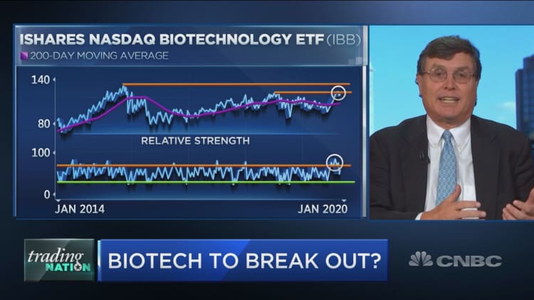 Biotech stocks set up to rally back to all-time highs, chart suggests
