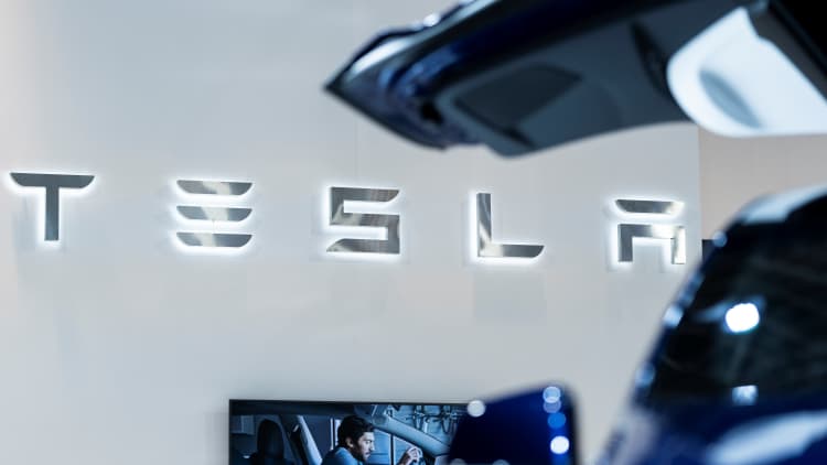 Tesla's biggest bull: Wall Street skepticism is 'the best wall of worry' I've experienced