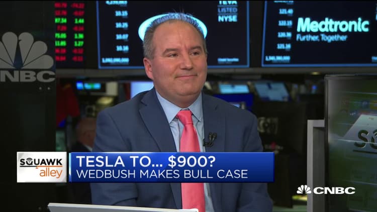 Wedbush's Dan Ives breaks down his bull case for Tesla