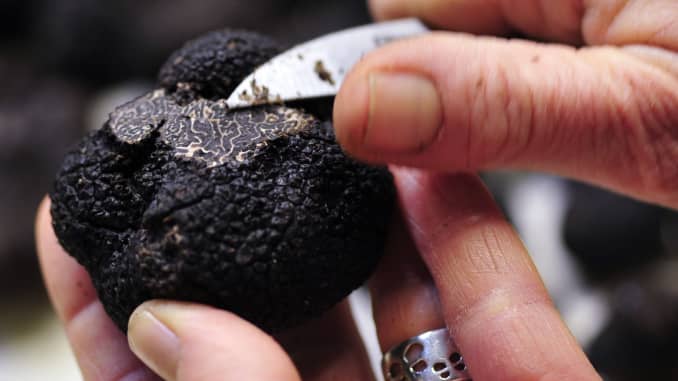 The interior of a black truffle is lined with white veins which darken with age.