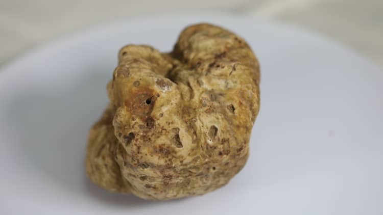 A single truffle can cost up to $3,800 — are they worth the money?