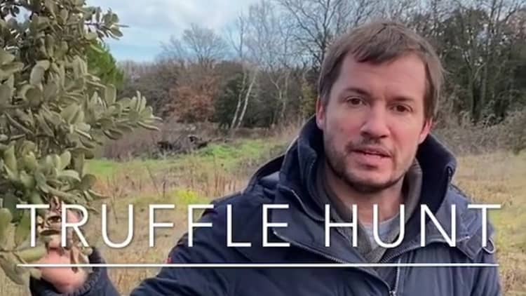 Truffle hunting in Provence with Christopher Poron