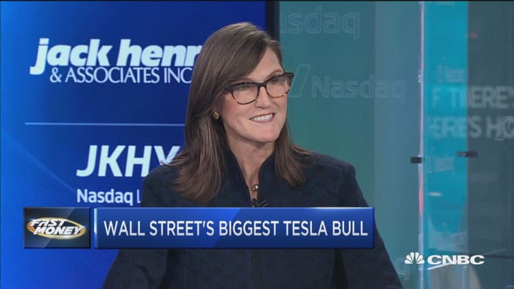 Wall Street's biggest Tesla bull thinks automaker can hit $15K in 2024