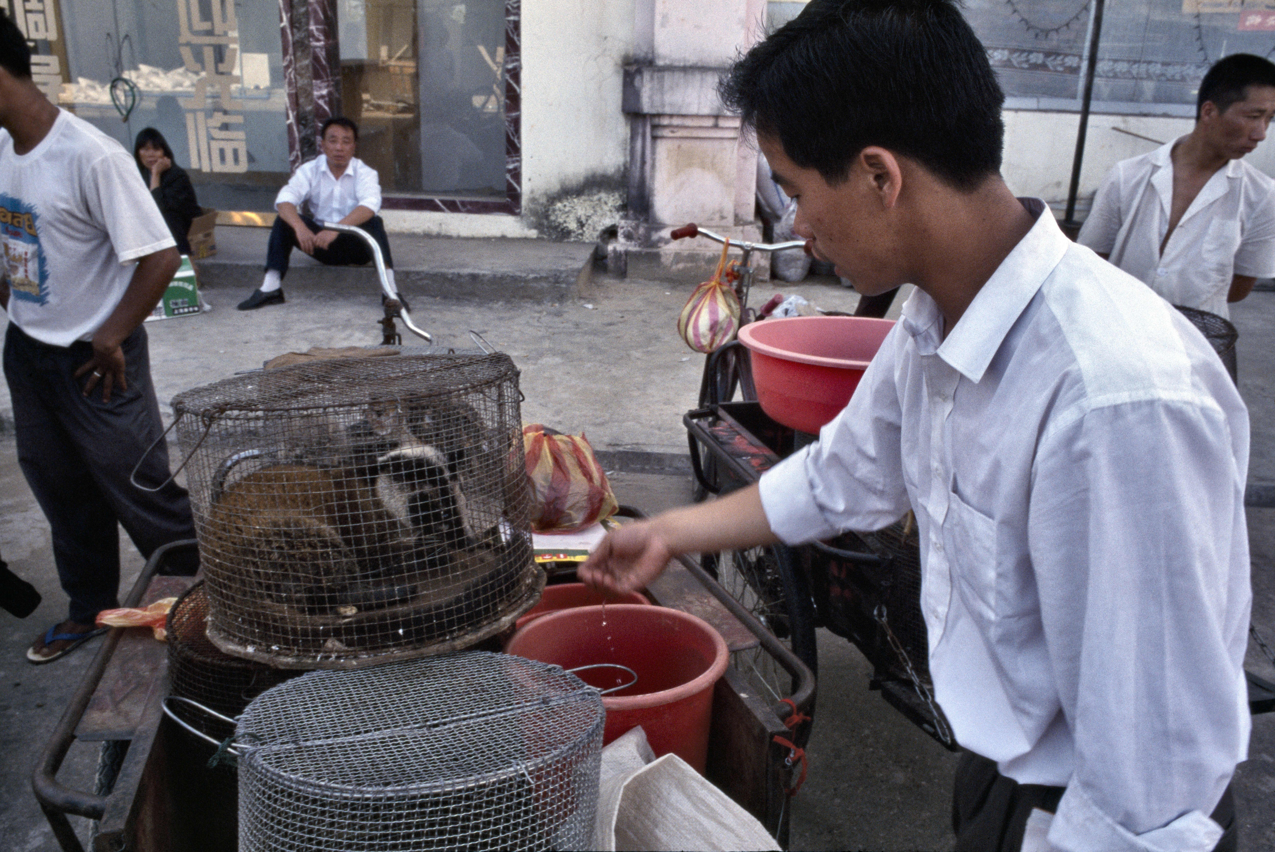 China's wild animal trade changed for good by coronavirus?